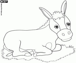 The mule in the stable of Jesus coloring page
