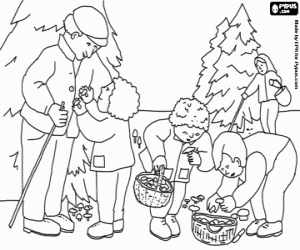 Mushroom picking in the forest coloring page