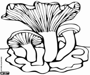 Mushroom with trumpet shape coloring page