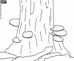 Mushrooms on a tree trunk coloring page
