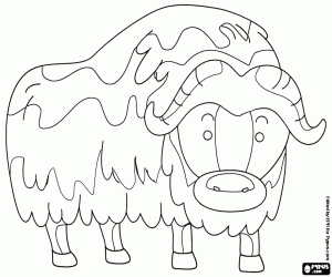 The muskox coloring page