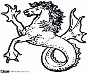 A mythological animal, Hippocampus coloring page