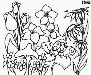 The nature in spring coloring page
