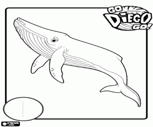 Number 1 and a whale coloring page