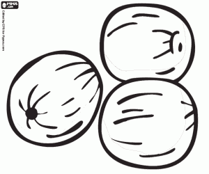 Nutmeg, a spice coloring page