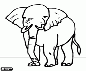 Old elephant coloring page