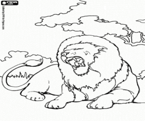 Old lion under the trees coloring page
