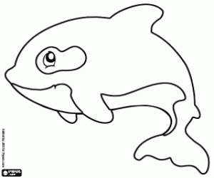Orca coloring page