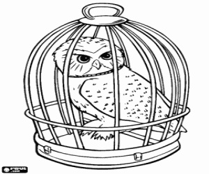 The owl of Harry Potter, Hedwig coloring page