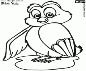 The owl, a nocturnal bird of the forest coloring page