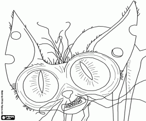 Ozone, the Sphinx cat coloring page