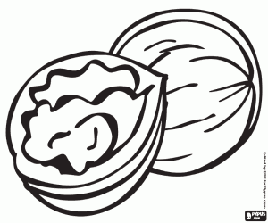 A pair of walnuts coloring page