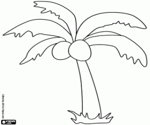 A palm tree of Aladdin coloring page