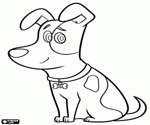 The pampered dog Max coloring page