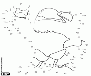 The parrot Belzoni, dot to dot coloring page