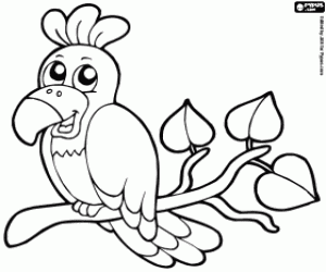 Parrot coloring page
