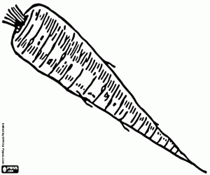 The parsnip, an edible root coloring page