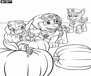 The Paw Patrol and the pumpkins coloring page