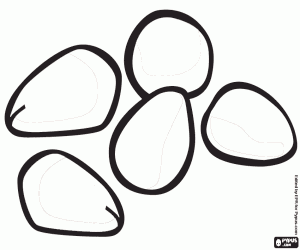 A few peeled pine nuts coloring page