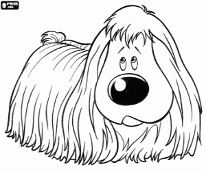 A Pekingese puppy, Doogal coloring page