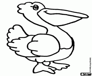 A pelican on the coast coloring page