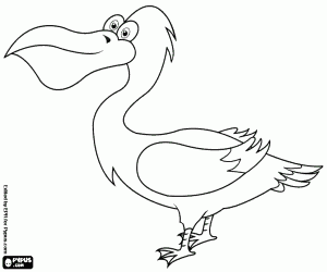Pelican coloring page