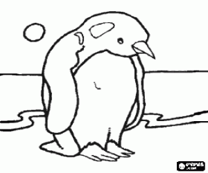 A penguin of the Antarctic coloring page