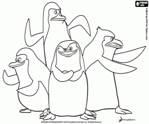 Penguins of Madagascar, heroes coloring page