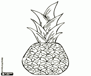 A pineapple, a tropical fruit coloring page