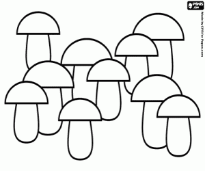 A plantation of mushrooms coloring page