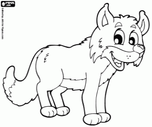 Polar fox. Artic fox coloring page