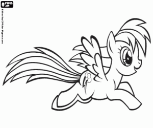 The pony pegasus RainbowDash coloring page