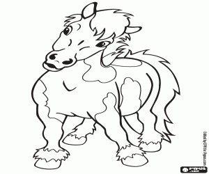 The pony, seen from the front coloring page