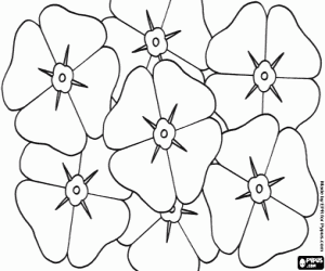 Poppies, commemorative flowers coloring page