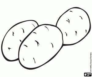 Potatoes, edible tubers coloring page