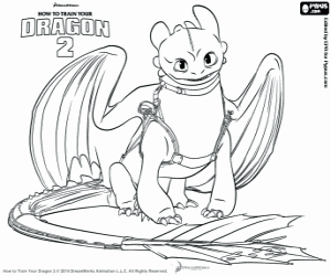 The protagonist dragon Toothless coloring page