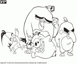Protagonists Angry Birds, the movie coloring page