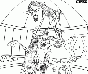 The protagonists of Madagascar 3 coloring page