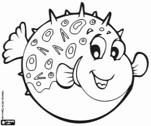 The puffer fish is poisonous coloring page