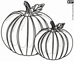 The pumpkins harvest coloring page