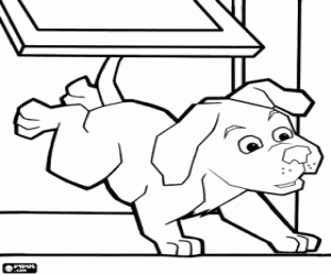 The puppy goes into the house coloring page