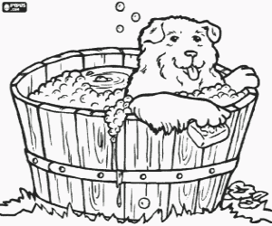 Puppy or small dog taking a bath coloring page