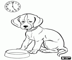 Puppy waiting for food coloring page