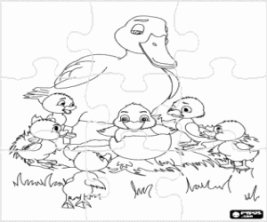 Puzzle of the chick from the egg coloring page