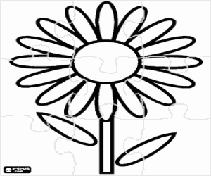 Puzzle of a daisy, a flower coloring page