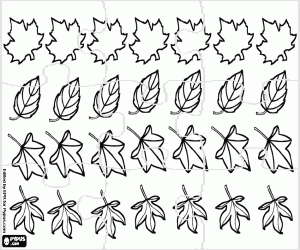 Puzzle of different leaves coloring page