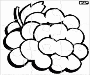 Puzzle of A bunch of grapes coloring page