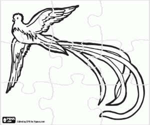 Puzzle of a quetzal, a divine bird coloring page