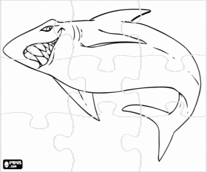 Puzzle of a shark coloring page