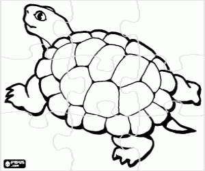 Puzzle of a turtle coloring page